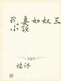 我妻如奴三部曲小说