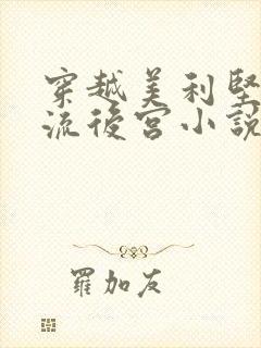 穿越美利坚之风流后宫小说