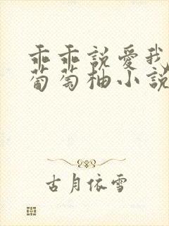 乖乖说爱我by葡萄柚小说免费阅读