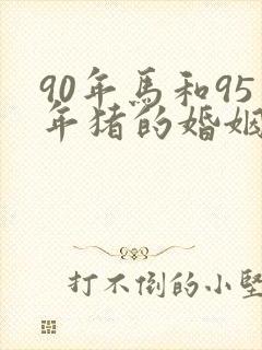 90年马和95年猪的婚姻怎么样