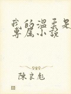 我的温柔是你的专属小说