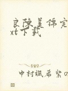 良陈美锦完本txt下载