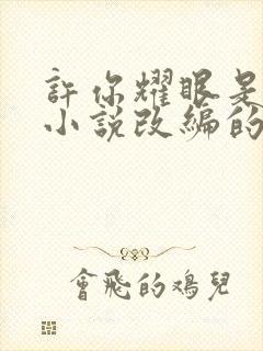 许你耀眼是哪部小说改编的