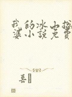 我的冰山总裁老婆小说免费完整版