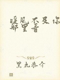 暖风不及你情深哪里看