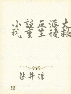 小说反派大佬让我重生后救他