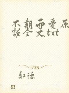 不期而爱原著小说全文txt