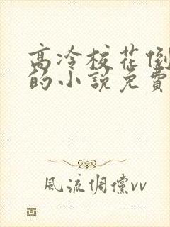 高冷校花倒追我的小说免费阅读无弹窗