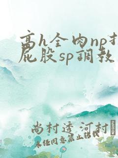 高h全肉np打屁股sp调教