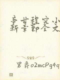 辛甘程究小说最新章节全文免费阅读