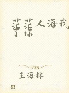 茫茫人海我遇见了你