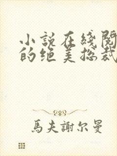 小说在线阅读我的绝美总裁老婆