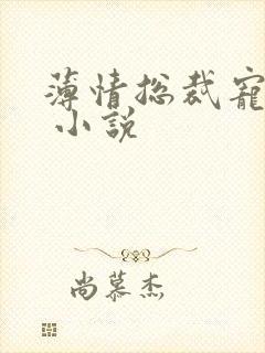 薄情总裁宠甜妻 小说