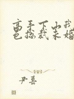 高手下山我的绝色总裁未婚妻