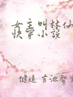 女主叫林仙豆的快穿小说