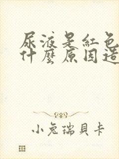 尿液是红色的是什么原因造成的