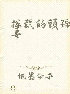 总裁的头号小鲜妻