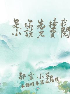 是你先撞我心上小说免费阅读