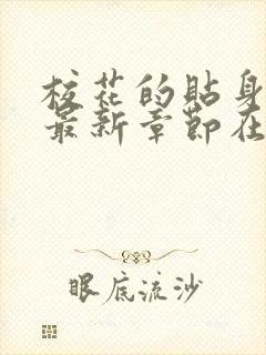 校花的贴身高手最新章节在线阅读