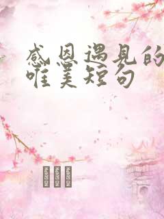 感恩遇见的句子唯美短句