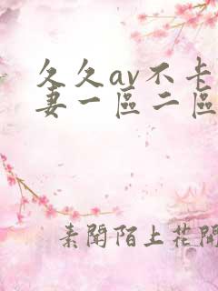 久久av不卡人妻一区二区三区