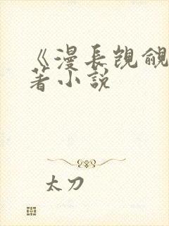 《漫长觊觎》原著小说