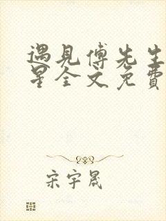 遇见傅先生叶繁星全文免费阅读贺