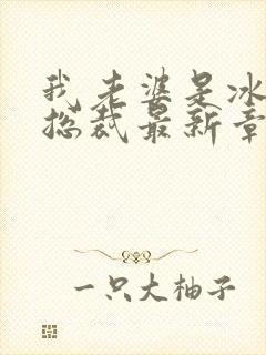 我老婆是冰山女总裁最新章节阅