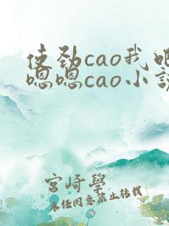 使劲cao我吧嗯嗯cao小说