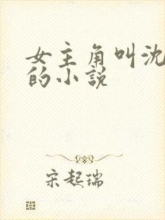 女主角叫沈知夏的小说