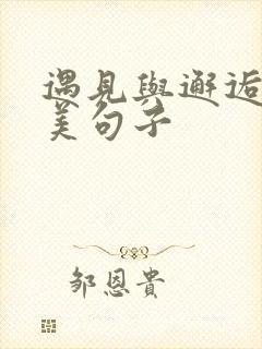 遇见与邂逅的唯美句子