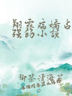 翔霖病娇占有欲强的小说