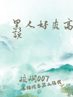黑人好爽高h小说