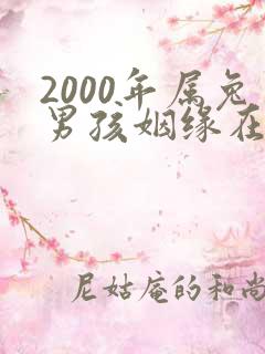 2000年属兔男孩姻缘在哪一年