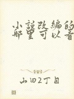 小说改编的短剧哪里可以看