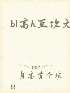 bl高h互攻文
