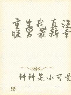 重生我真没想当暖男最新章节目录