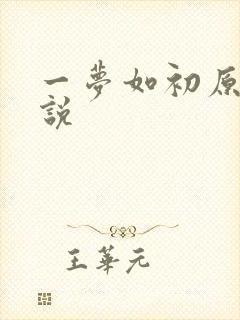 一梦如初原著小说