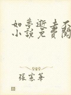 如梦逝去不可追小说免费阅读全文