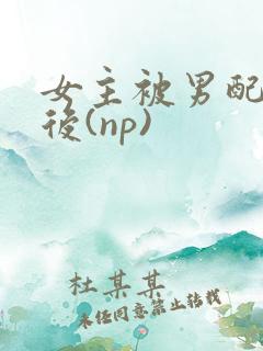 女主被男配囚禁后(np)