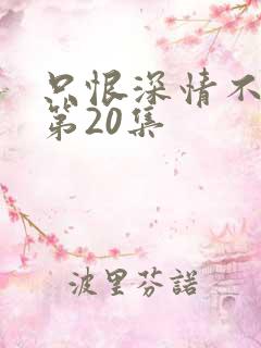 只恨深情不识鸢第20集