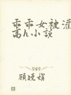 乖乖女被灌满精高h小说