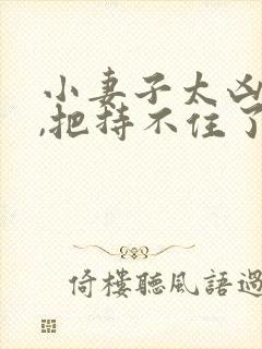 小妻子太凶陆爷,把持不住了免费阅读结局