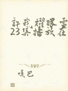 许我耀眼电视剧23集播放在线观看