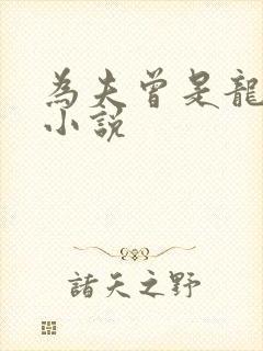 为夫曾是龙傲天小说