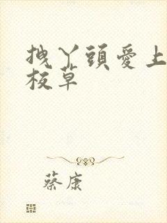 拽丫头爱上冷酷校草