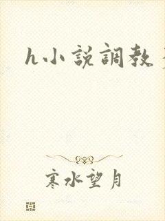 h小说调教多人
