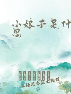 小娘子是什么意思