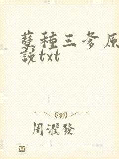 孽种三爹原著小说txt
