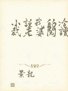 小说我的冷艳总裁老婆阅读